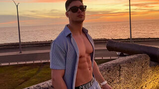 Alan Vidal